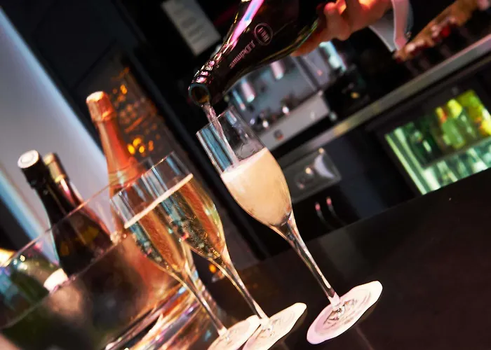 酒店 绍莱美居中心酒店 4*